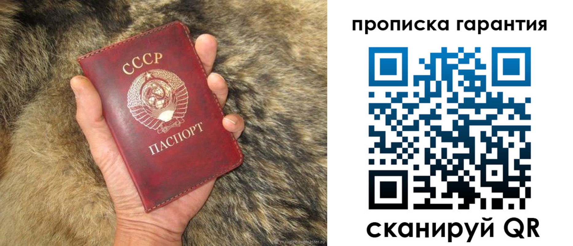 прописка паспорт в Вязьме